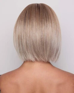 Aria | Lace Front & Monofilament Part Synthetic Wig By Alexander -Best Wig Outlet Store AX1043R Aria MushroomMelange B