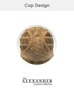 Rosanna | Lace Front & Monofilament Part Synthetic Wig By Alexander -Best Wig Outlet Store AX1045 Rosanna cap