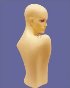 Hair Wig Mannequin MQ109F (USED) -Best Wig Outlet Store BW90021 2
