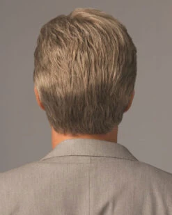 Sophistication | Average/Large Men's Lace Front & Monofilament Synthetic Wig By HIM 12 Sophistication | Average/Large Men's Lace Front & Monofilament Synthetic Wig By HIM -Best Wig Outlet Store HC64003AL Sophistication Back