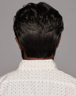 Dignified | Average/Large Men's Lace Front & Monofilament Top Synthetic Wig By HIM -Best Wig Outlet Store HIM64014AL Dignified Model1 B
