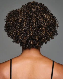 Aniyah | Lace Front & Monofilament Part Synthetic Wig By Kim Kimble -Best Wig Outlet Store KK31001 Aniyah MC4 10SS B