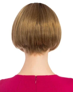 Harmony | Monofilament Synthetic Hair Wig By Louis Ferre -Best Wig Outlet Store LF6005HM Harmony 140 14 6 Root back