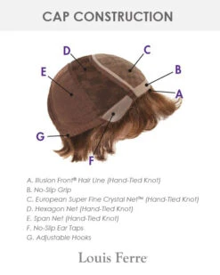 Hillary | Monofilament Synthetic Wig By Louis Ferre -Best Wig Outlet Store LF Cap 6000HM Series 01