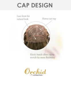 Attitude | Lace Front Synthetic Wig By Orchid -Best Wig Outlet Store LaceFrontCap 03