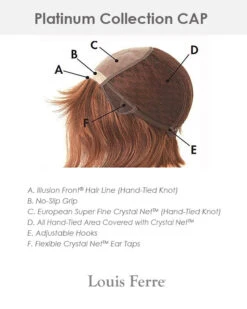 PC108 Petite/Average | Monofilament Human Hair Wig By Louis Ferre -Best Wig Outlet Store Platinum PC Cap 01
