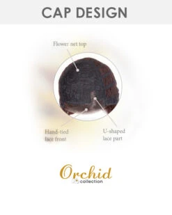 Fabulous | Lace Front & Monofilament Part Synthetic Wig By Orchid -Best Wig Outlet Store U shaped LacePart