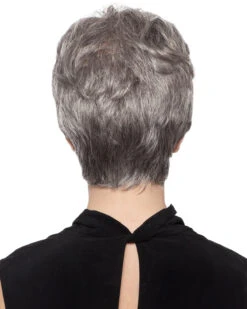 Shortie | Synthetic Wig By Wig Pro -Best Wig Outlet Store WP20015 Shortie back 92